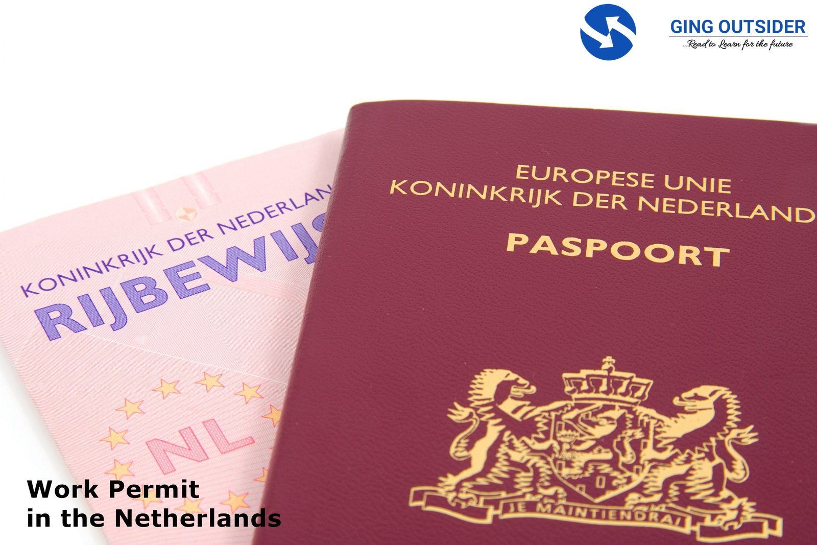 Work Permit Visa in the Netherlands