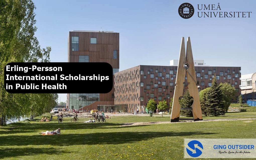 Erling-Persson International Scholarships in Public Health