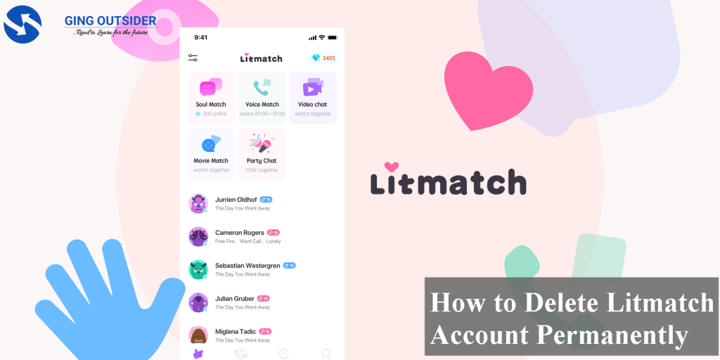 How to Delete Litmatch Account