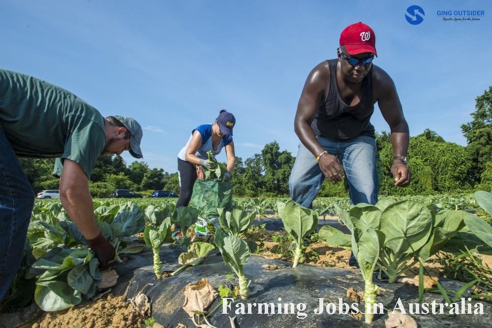 Farming Jobs in Australia